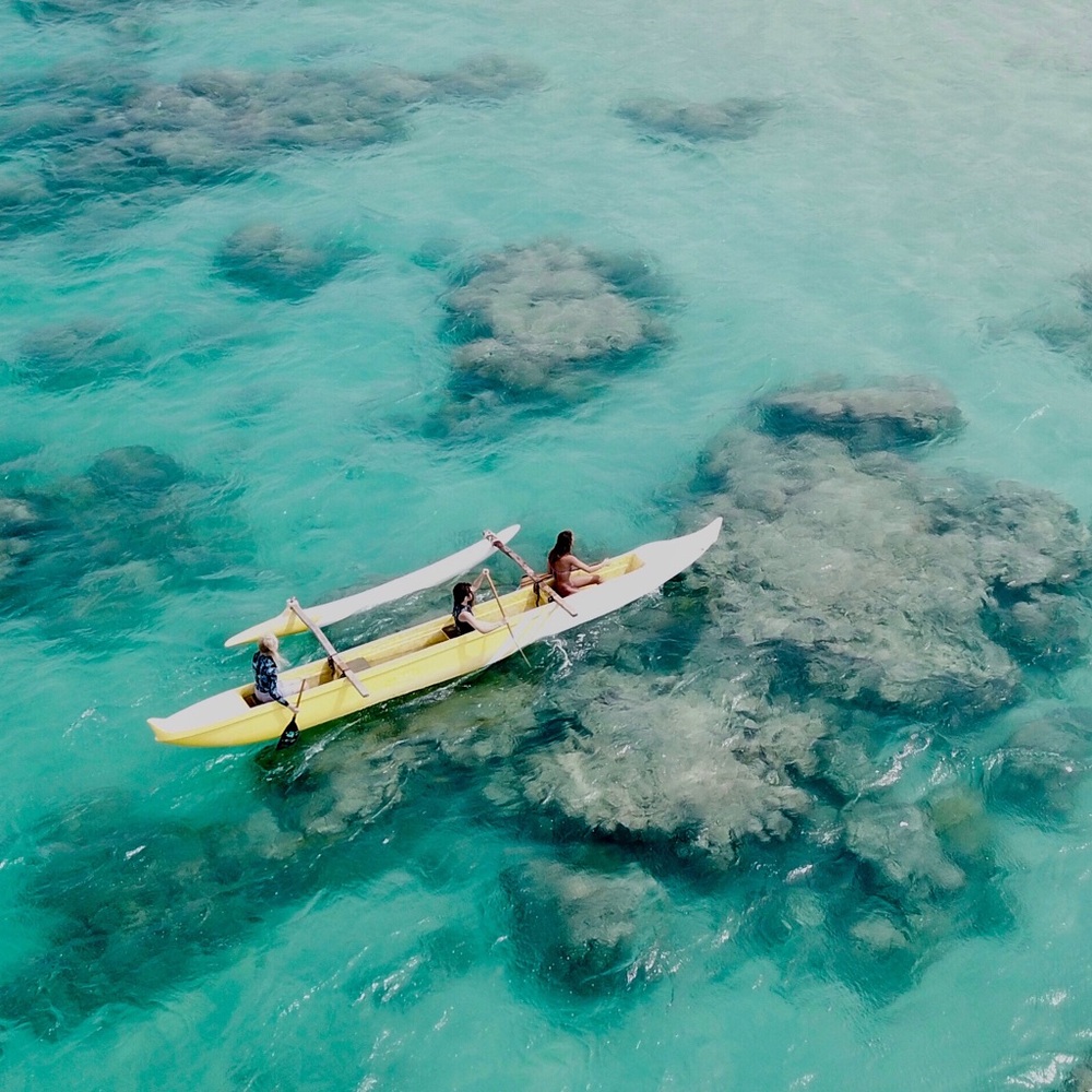 Meet your Posher, Kaile